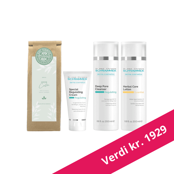 Hovedbilde Dr. Schrammek Regulating Care Set